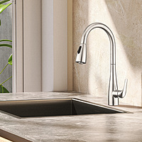 Kitchen Faucet Kitchen Faucet