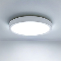 LED Ceiling Light LED Ceiling Light